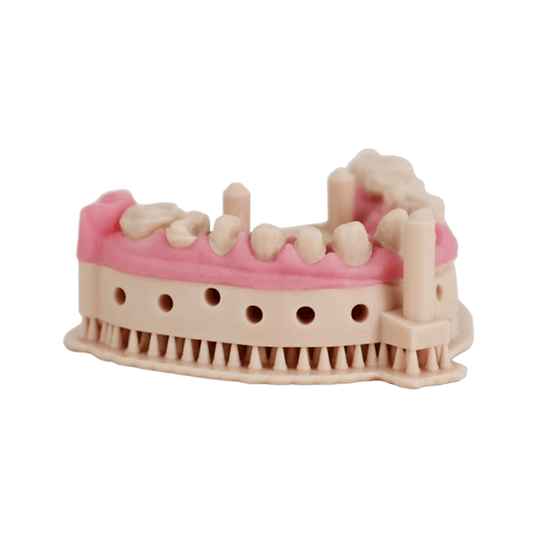 Liqcreate Dental Model Pro Beige